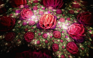 red lotus flower wallpaper