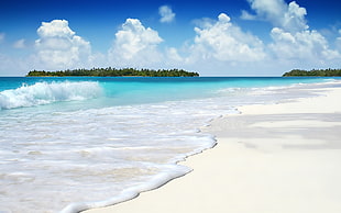seashore during daytime HD wallpaper