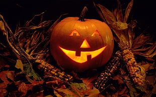 orange pumpkin, Halloween, pumpkin, Jack O' Lantern