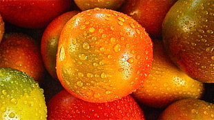 red tomatoes with water dews