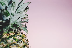 pineapple fruit