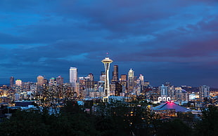 Space Needle Tower , Seattle, city, Space Needle HD wallpaper