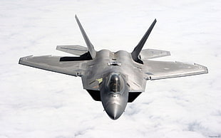 gray fighter plane, military, airplane, war, F-22 Raptor