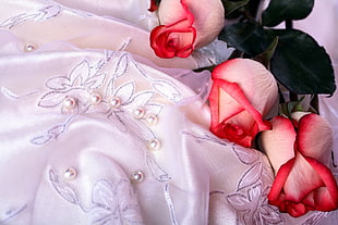 closeup photo of white textile with pink roses HD wallpaper