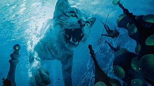 cat and people illustration, fantasy art, underwater, Magic: The Gathering