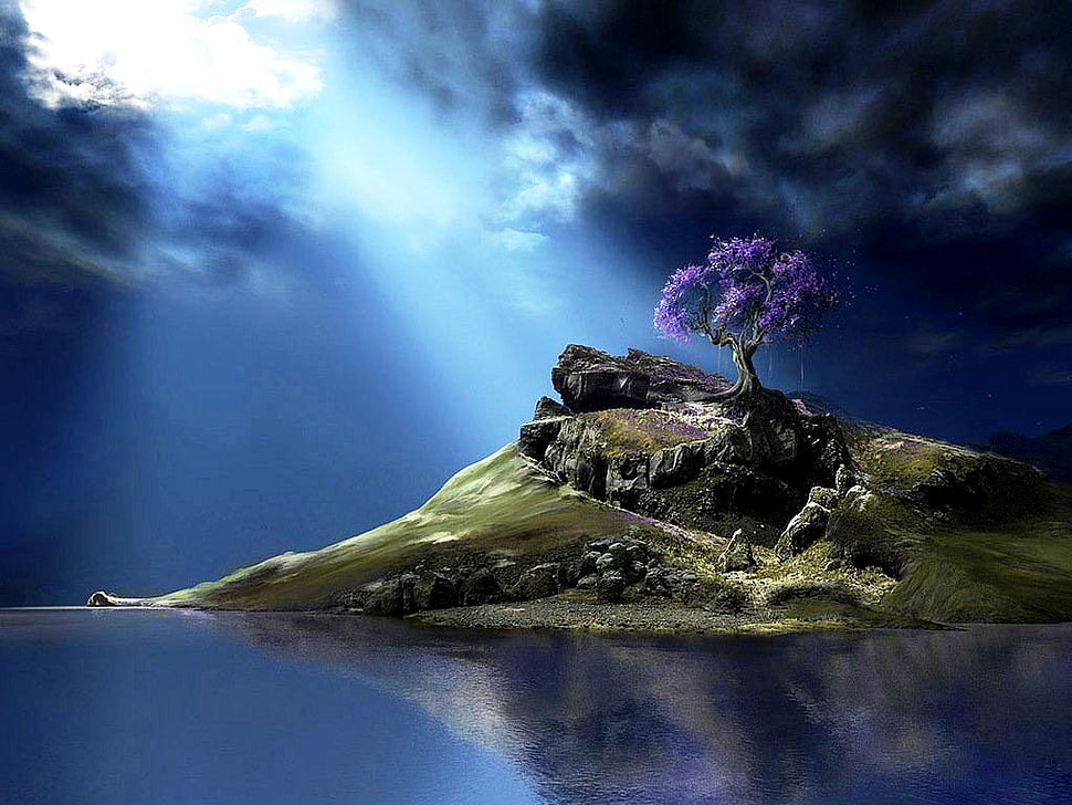 purple tree HD wallpaper