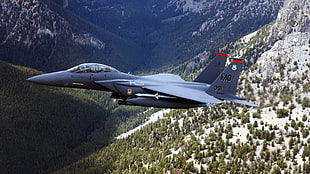 gray fighter jet