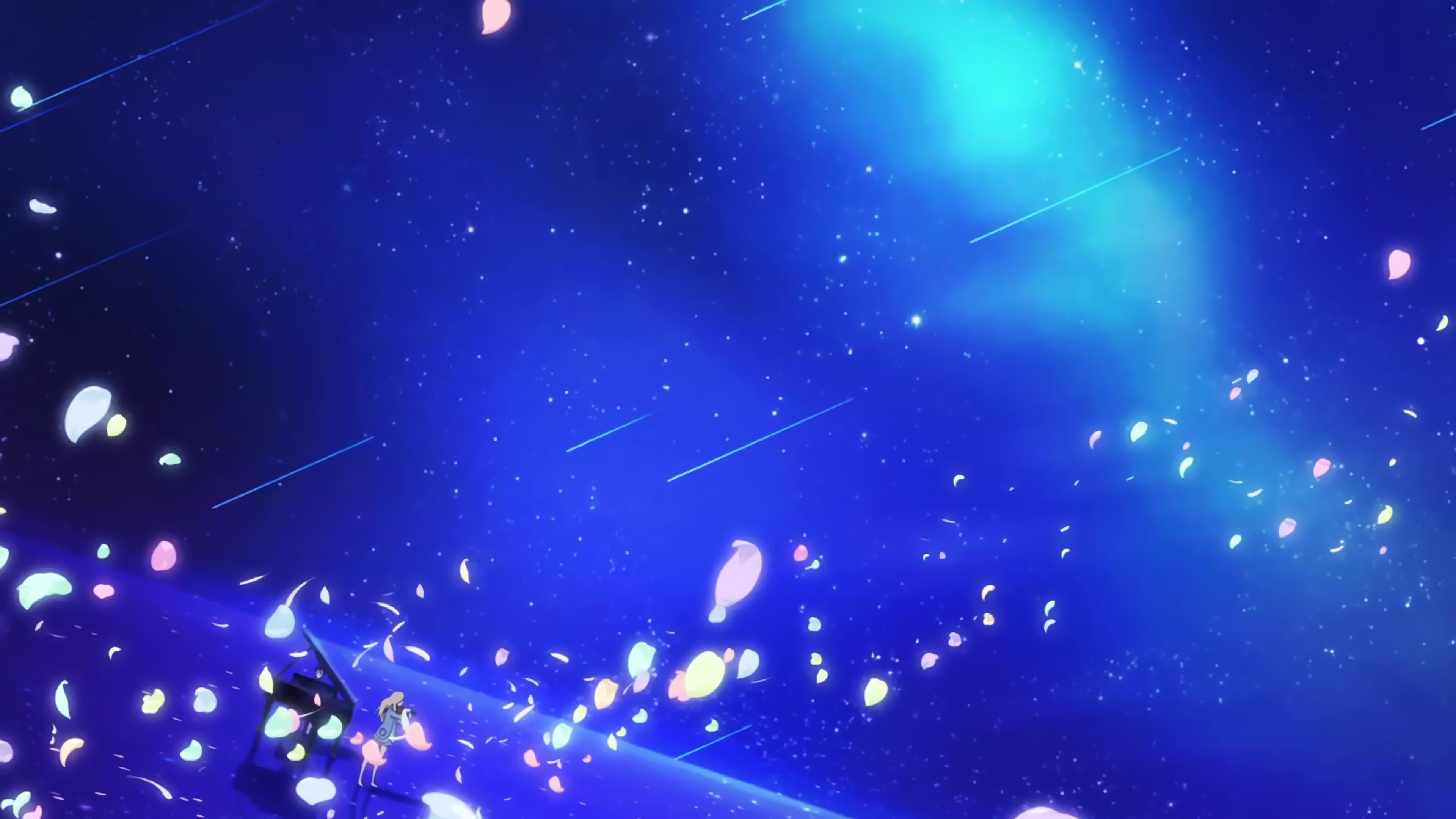 Pink Flower Petals Shigatsu Wa Kimi No Uso Hd Wallpaper