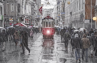 red train bus in middle of road, photography, city, Turkey, Istanbul