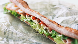 shallow focus photography of vegetable sandwich