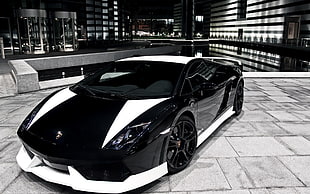 black and white Lamborghini Gallardo, Lamborghini HD wallpaper