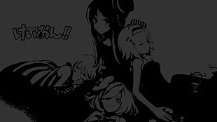three female anime character illustration, K-ON!, Hirasawa Yui, Akiyama Mio, Tainaka Ritsu HD wallpaper