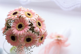 pink sunflower bouquet HD wallpaper
