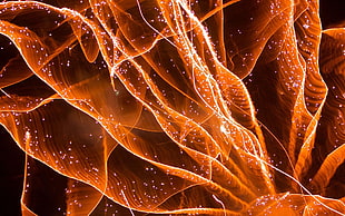 steel wool digital wallpaper HD wallpaper