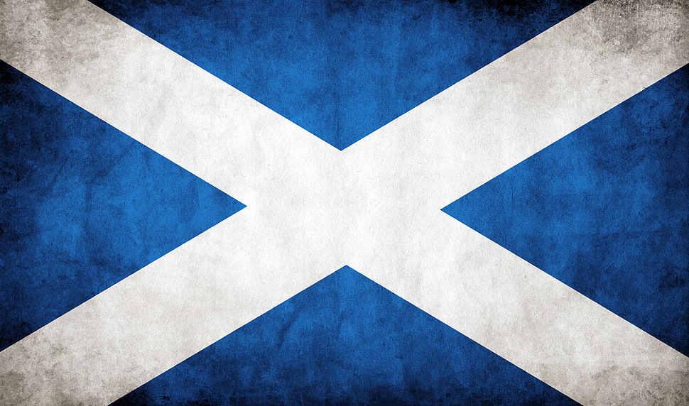 white and blue flag HD wallpaper