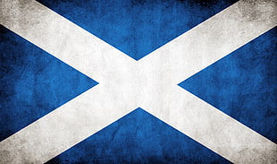 white and blue flag
