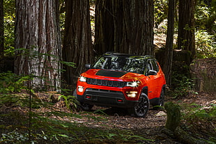 red and black vehicle in the middle of woods