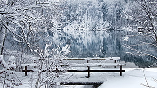 black wooden bench on snow