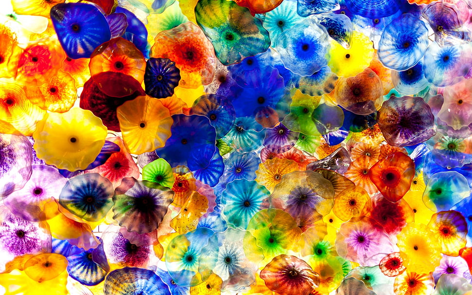 multicolored jelly fish painting HD wallpaper
