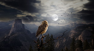 brown owl on top of tree branch painting, dark, landscape, Moon, fantasy art