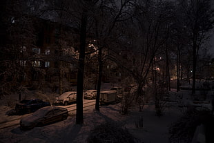 snow field, snow, winter, street, Russia