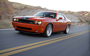 red Dodge Challenger during daytome