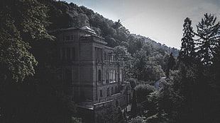 gray castle, photography, house, mountains, column
