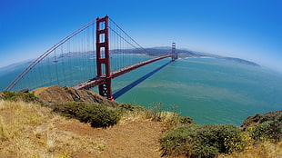 Golden Gate, London HD wallpaper