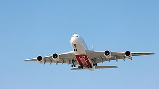white airplane, aircraft, passenger aircraft, airplane, A380
