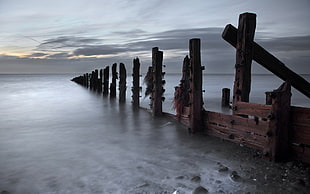 brown wooden pillars of pier in ocean