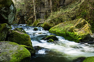 time lapse photo of water current surrounded with rocks in forest, sind HD wallpaper