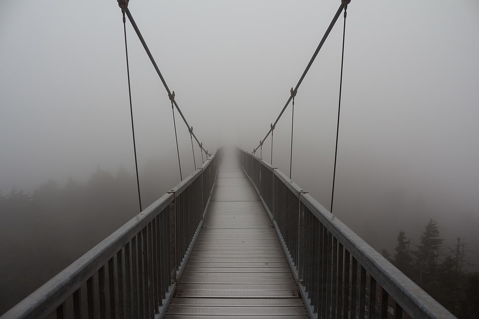 gray wooden bridge, bridge, mist HD wallpaper