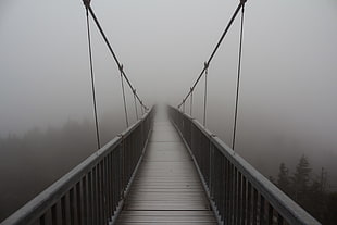 gray wooden bridge, bridge, mist