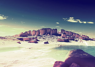 purple and white plastic toy, rock, beach, filter