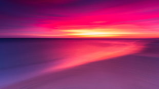 pink and red color of sky at sunset HD wallpaper