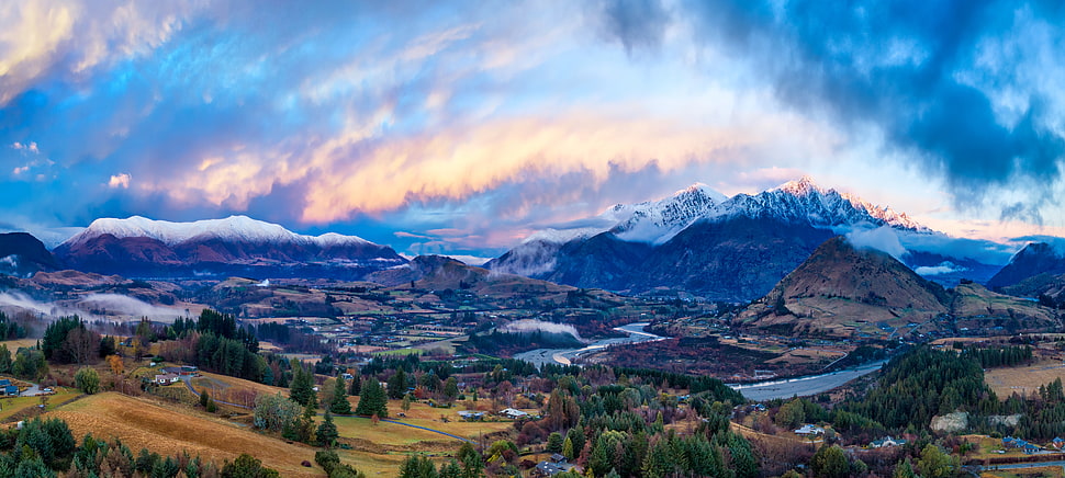 brown trees and mountains, queenstown HD wallpaper