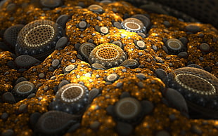 black stones, abstract, fractal, gold