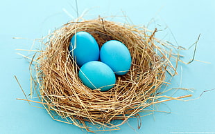 blue and white flower decor, nests, eggs, blue background