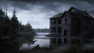gray wooden house near water video game screenshot