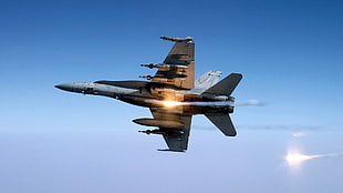 gray aircraft, McDonnell Douglas F/A-18 Hornet, military, aircraft