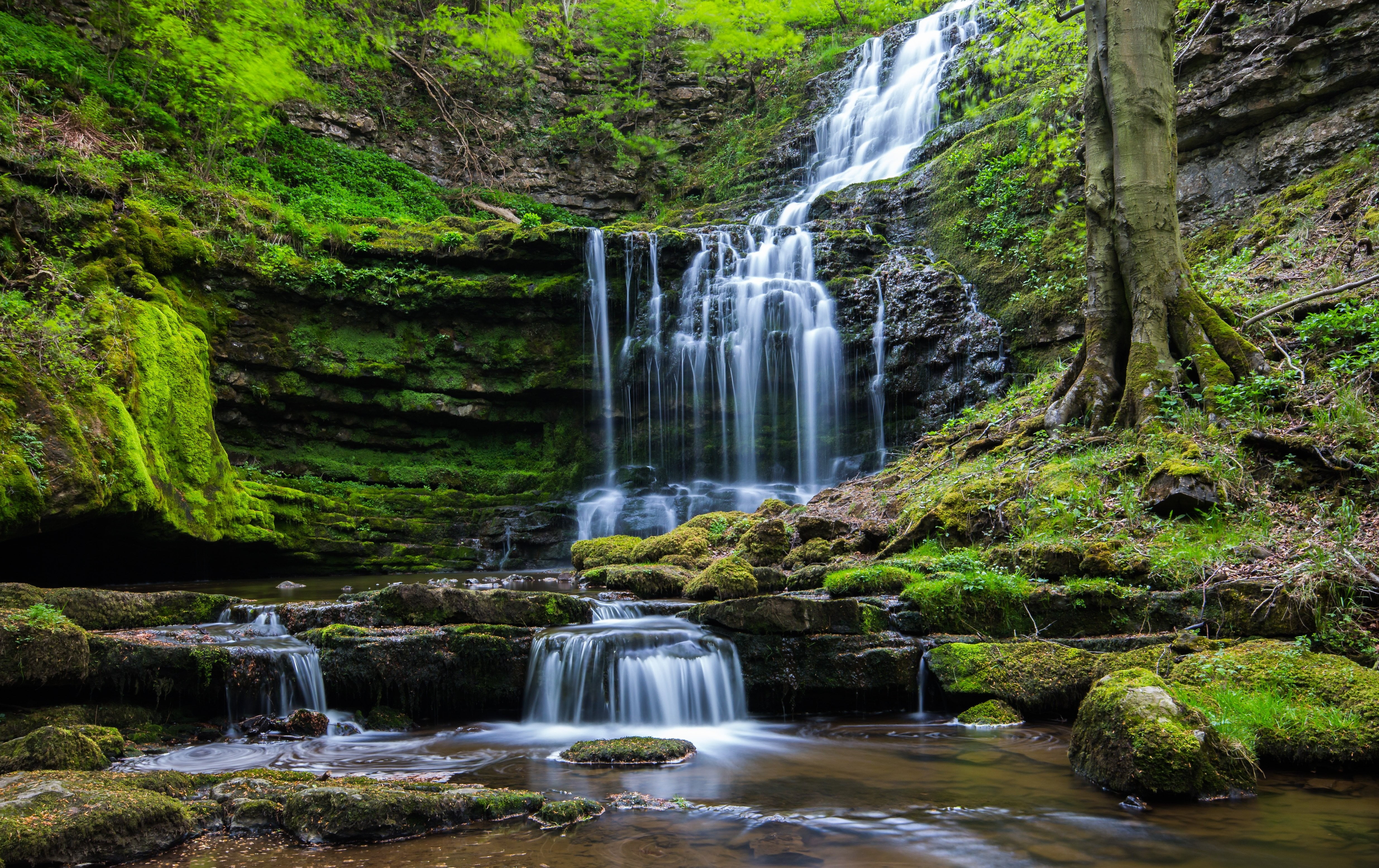 Waterfalls and moss, waterfall, nature, forest HD wallpaper | Wallpaper