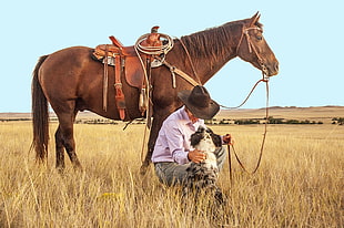 man sitting beside brown horse looking at Australian Shepherd dog