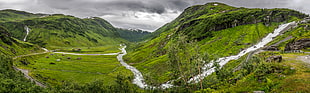 green trees on mountains with rivers, norway HD wallpaper