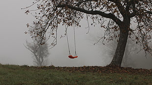 red swing on green tree