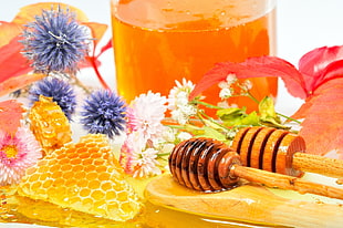 photo of two honey on stick and flowers lot