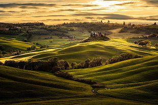 green field near trees digital wallpaper, nature, landscape, hills, Tuscany HD wallpaper