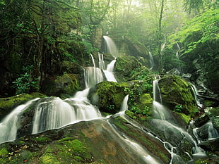 timelapse photography of waterfalls inside forest