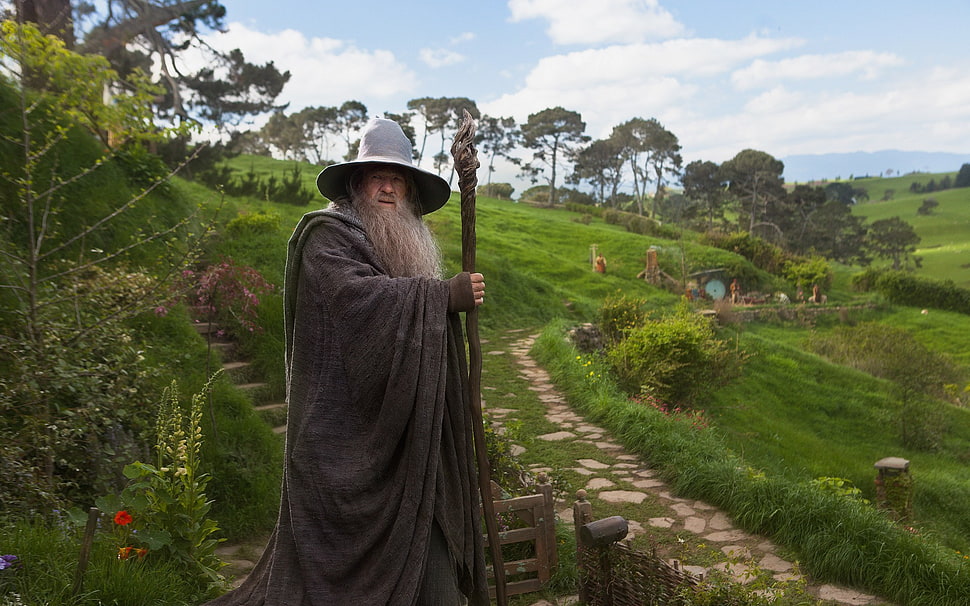 The Hobbit Gandalf The Gray, Gandalf, The Lord of the Rings, The Shire HD wallpaper