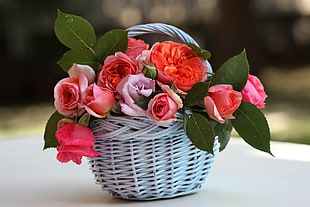 close up photo of flowers on wicker gray basket