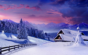 Lodges,  Snow,  Winter,  Protection HD wallpaper